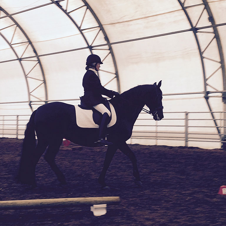 Working Equitation Show
