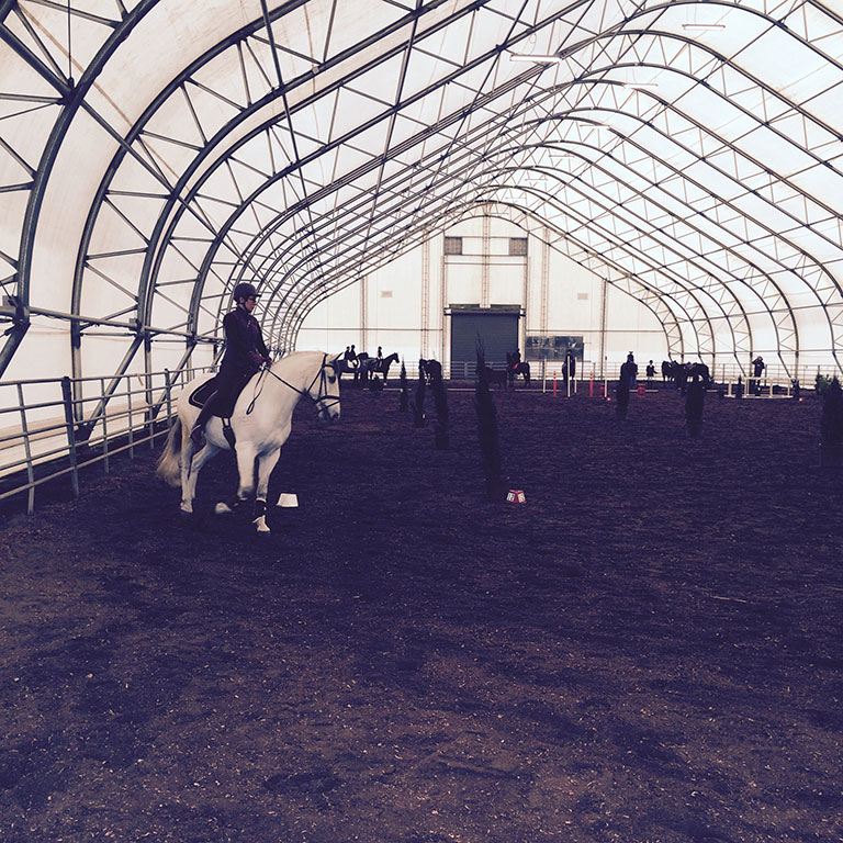 Working Equitation Show